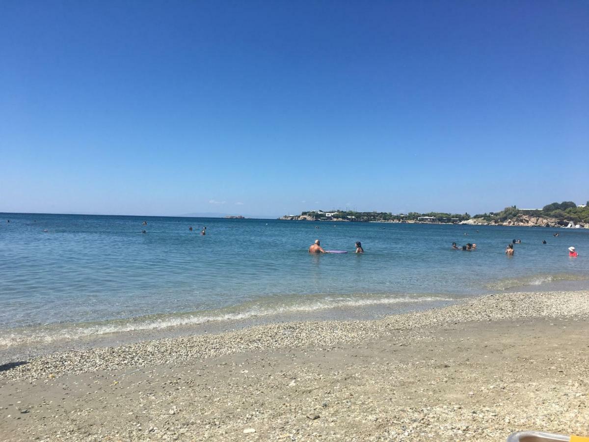 Villa Christina With Private Pool In Saronida, Near Stunning Beaches, Athens Airport & Sounio 외부 사진